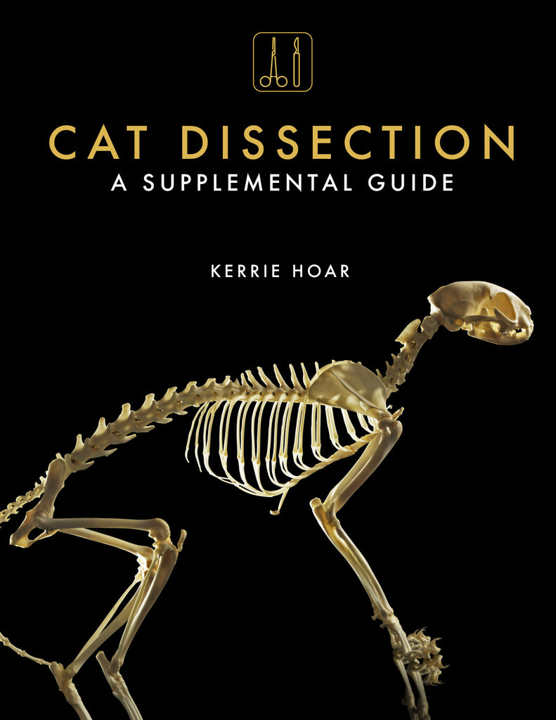 Cat Dissection - A Supplemental Guide