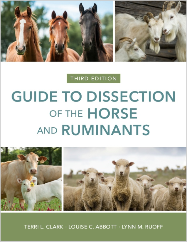 Guide to Dissection of the Horse and Ruminants, 3rd Edition