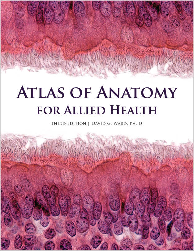 Atlas of Anatomy for Allied Health, 3rd Edition
