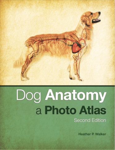 Dog Anatomy - A Photo Atlas, Second Edition