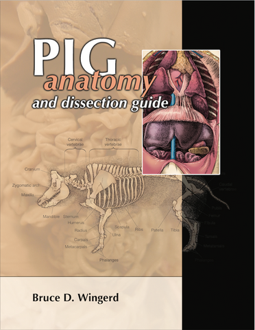 Pig Anatomy and Dissection Guide