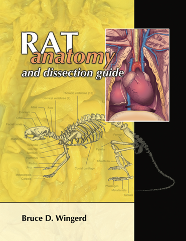 Rat Anatomy and Dissection Guide
