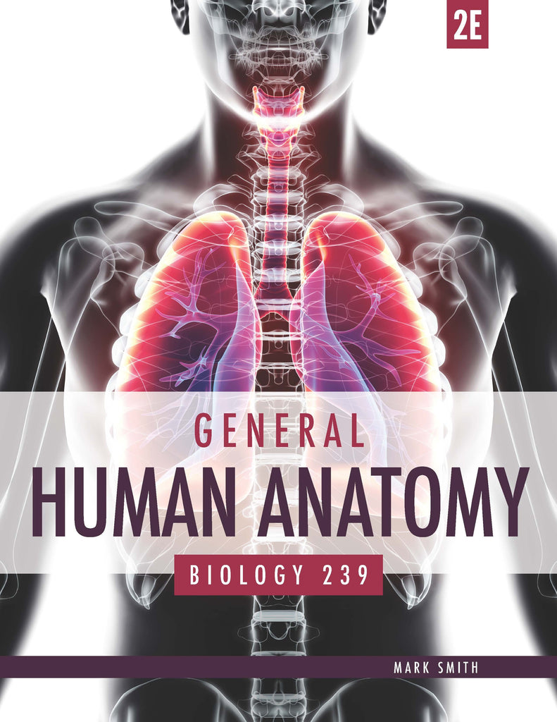 Smith-BIO 239, General Human Anatomy - Print on Demand